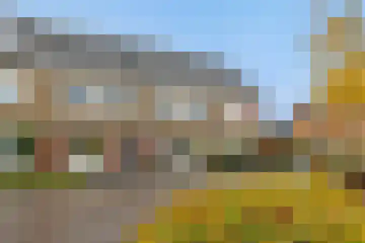 Sergeant Thompsonstraat 12 Heesch thumbnail 27
