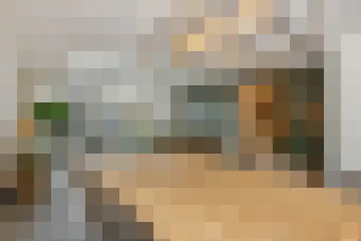 Sergeant Thompsonstraat 12 Heesch thumbnail 6