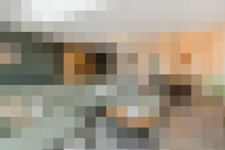 Sergeant Thompsonstraat 12 Heesch thumbnail 8