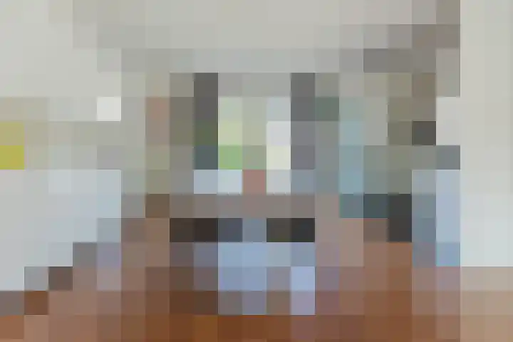 Sering 11 Cuijk thumbnail 10