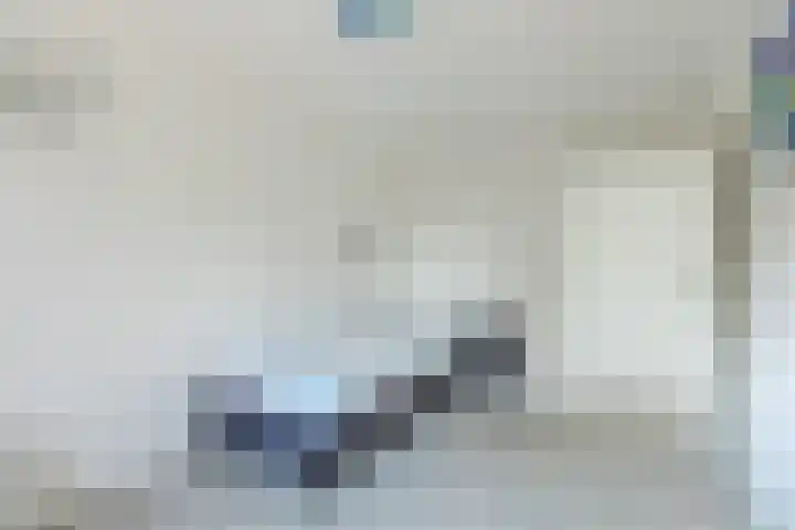 Sering 11 Cuijk thumbnail 22