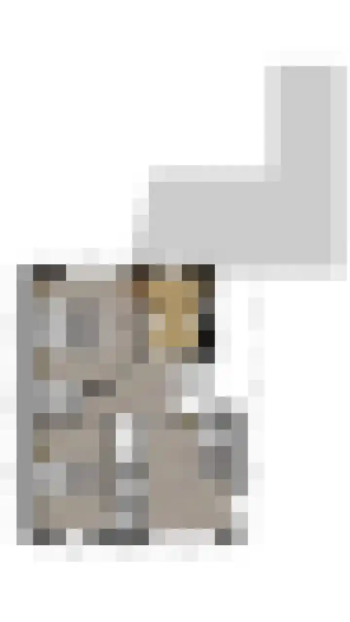 Sering 11 Cuijk thumbnail 41