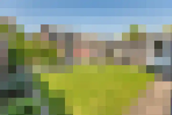 Sering 11 Cuijk thumbnail 5