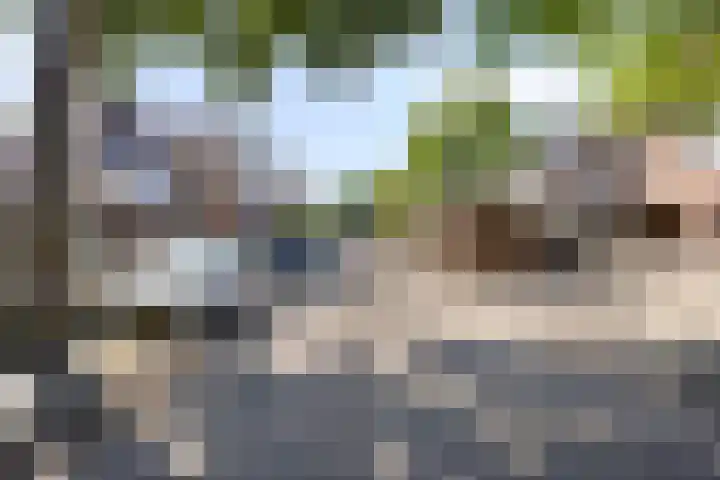 Sering 136 Hellevoetsluis thumbnail 29