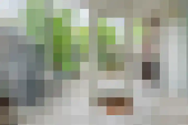 Sering 52 Cuijk thumbnail 10