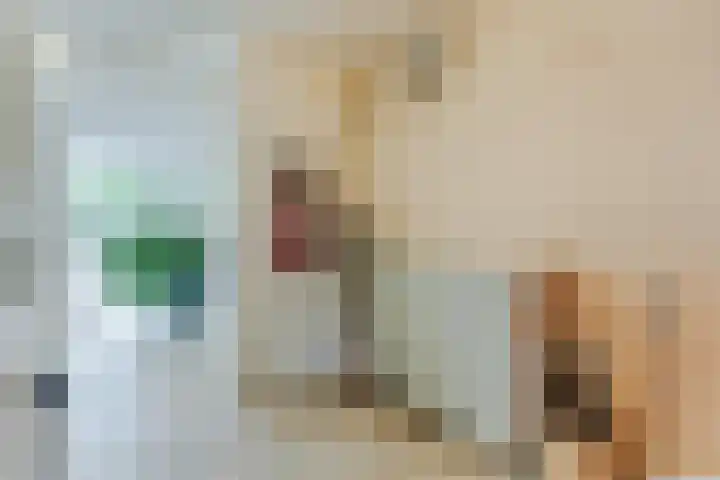 Sering 52 Cuijk thumbnail 11
