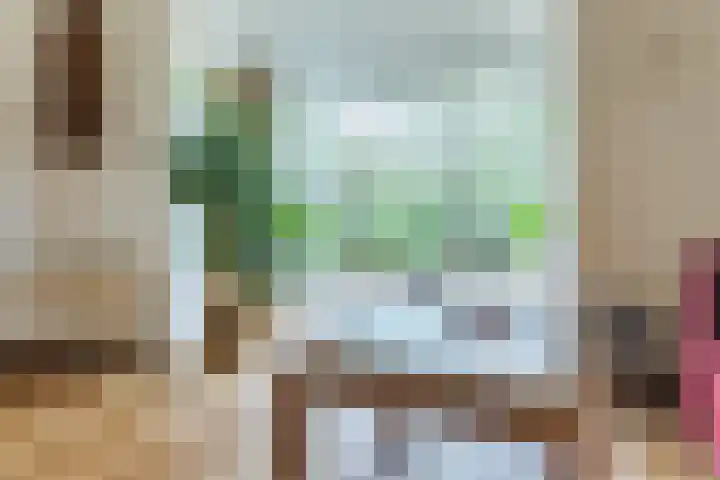 Sering 52 Cuijk thumbnail 15