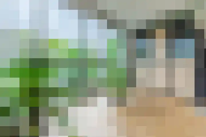 Sering 52 Cuijk thumbnail 17