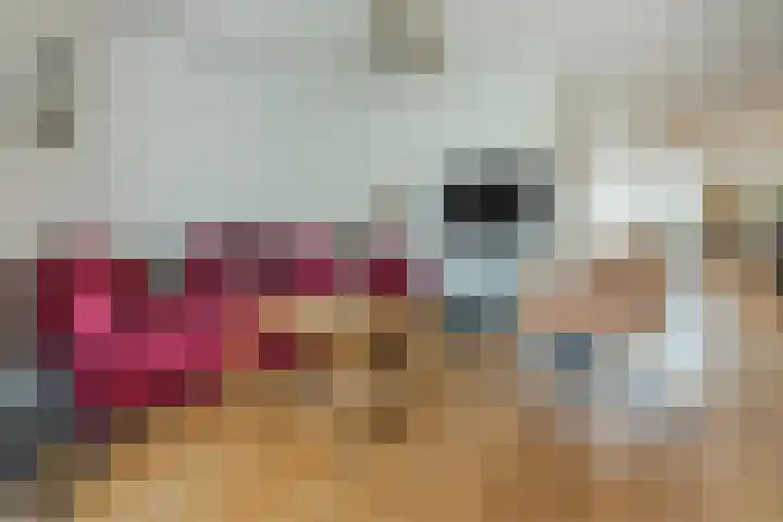 Sering 52 Cuijk thumbnail 18