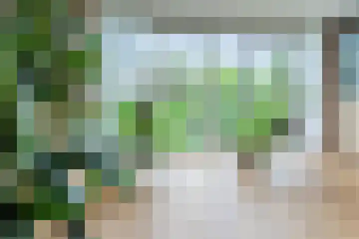 Sering 52 Cuijk foto 2