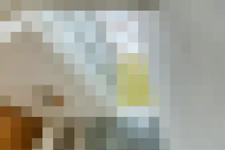 Sering 52 Cuijk thumbnail 28