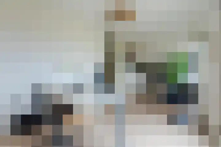 Sering 52 Cuijk thumbnail 31