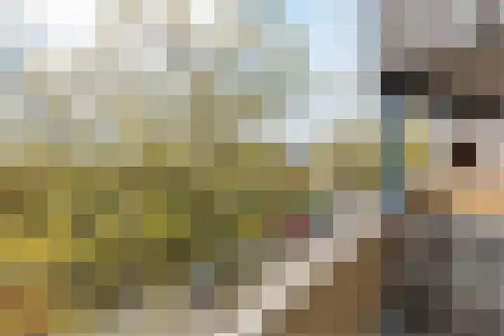 Sering 52 Cuijk thumbnail 37