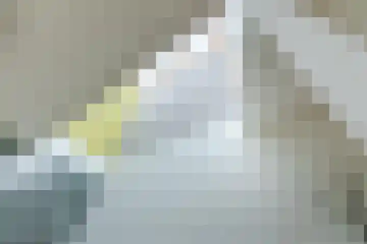 Sering 52 Cuijk thumbnail 4