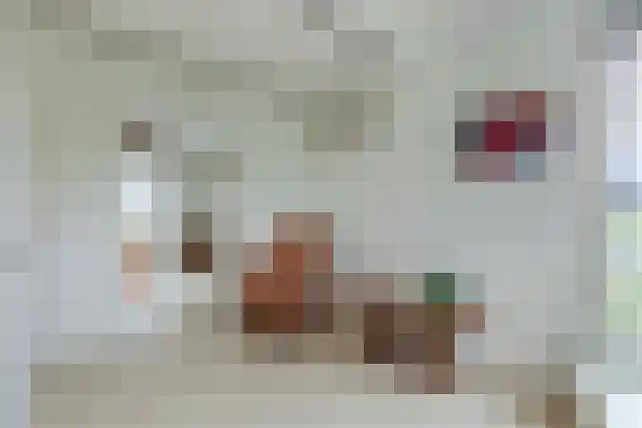 Sering 52 Cuijk thumbnail 40