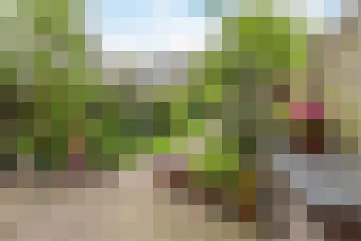 Sering 52 Cuijk thumbnail 45