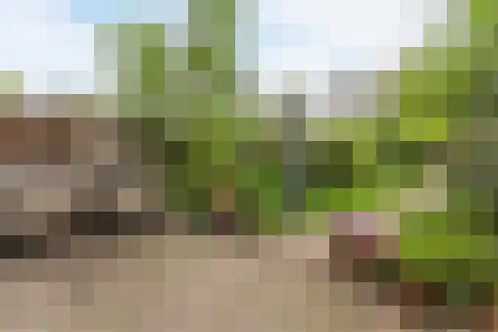 Sering 52 Cuijk thumbnail 46