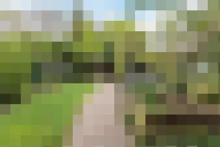 Sering 52 Cuijk thumbnail 47