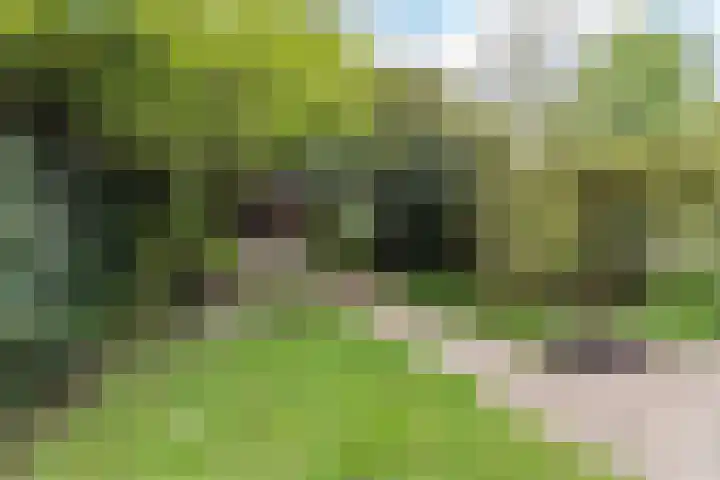 Sering 52 Cuijk thumbnail 48