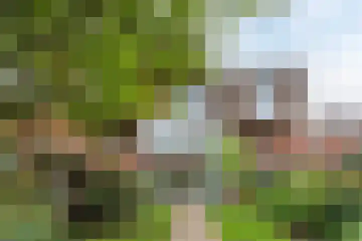 Sering 52 Cuijk thumbnail 51