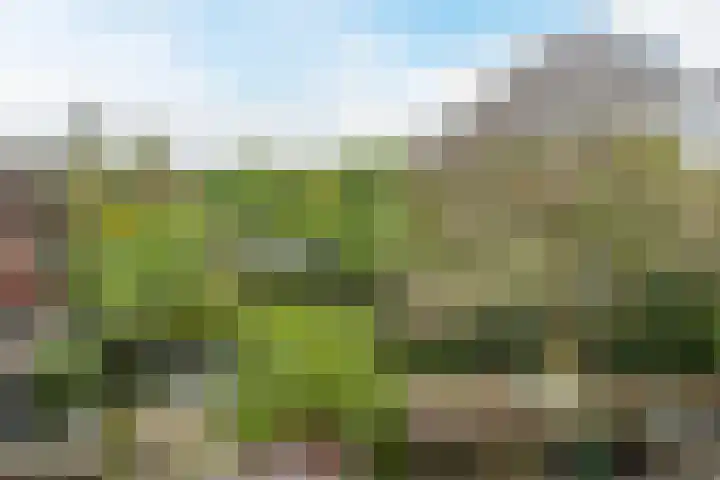 Sering 52 Cuijk thumbnail 53