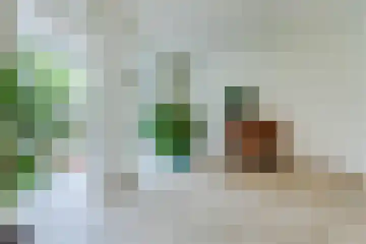 Sering 52 Cuijk thumbnail 8