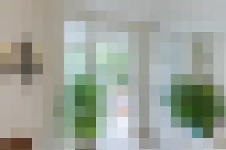 Sering 52 Cuijk thumbnail 9