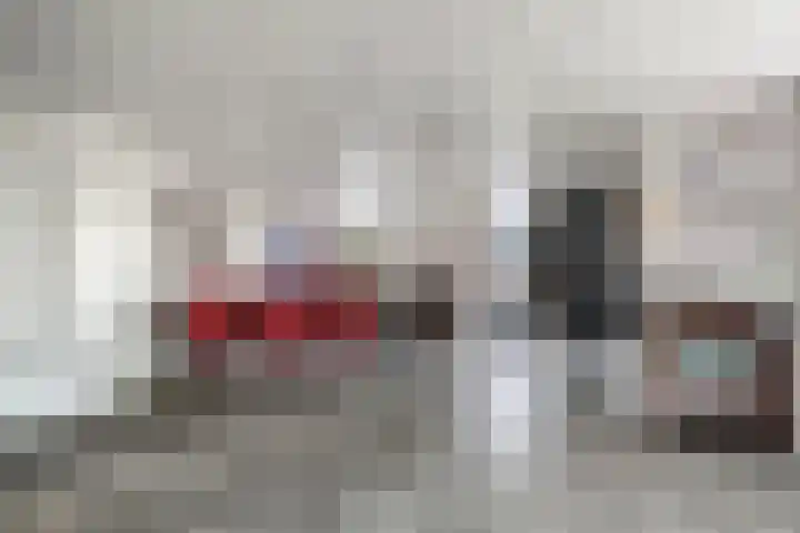 Seringelaar 7 Veghel thumbnail 13