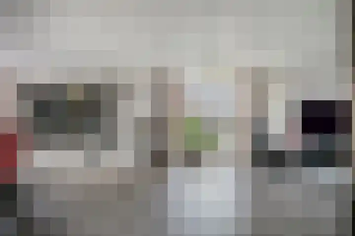 Seringelaar 7 Veghel thumbnail 16