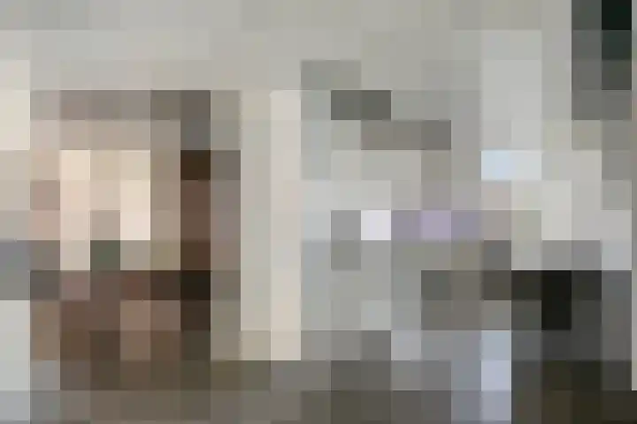 Seringelaar 7 Veghel thumbnail 17