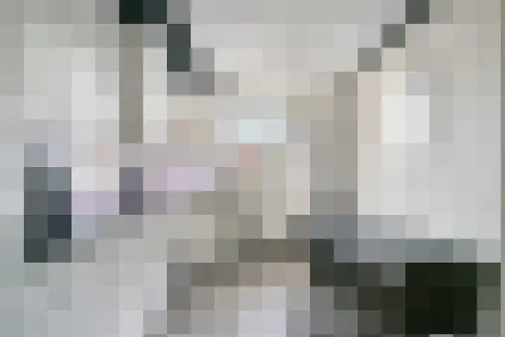 Seringelaar 7 Veghel thumbnail 18