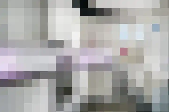 Seringelaar 7 Veghel thumbnail 19