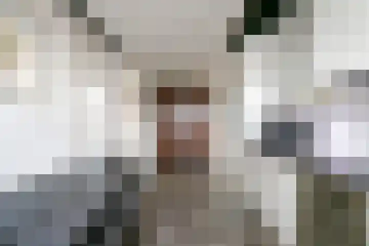 Seringelaar 7 Veghel thumbnail 20