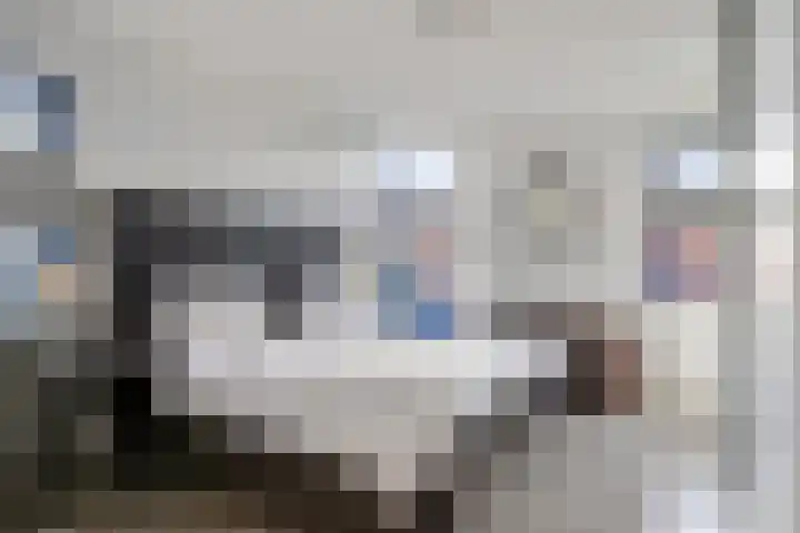Seringelaar 7 Veghel thumbnail 24