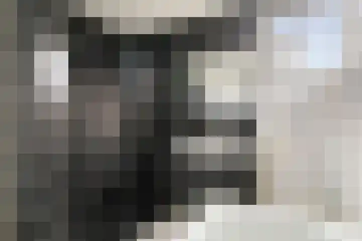 Seringelaar 7 Veghel thumbnail 27