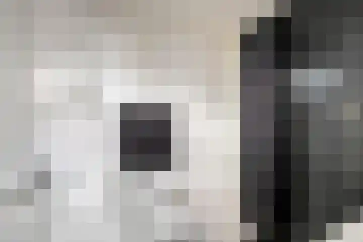Seringelaar 7 Veghel thumbnail 28