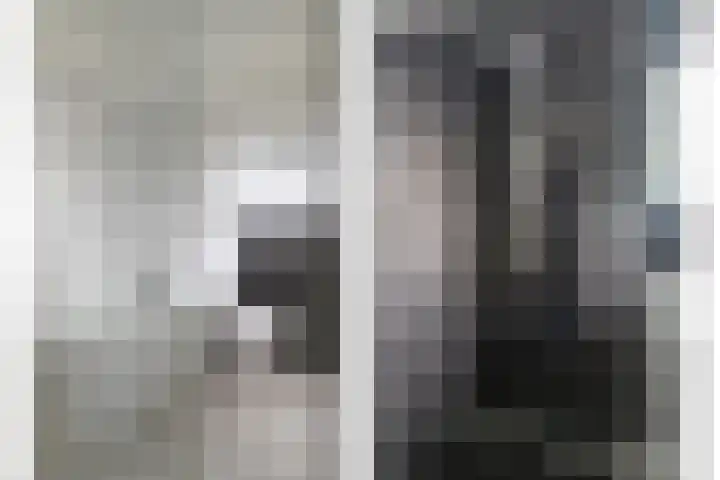 Seringelaar 7 Veghel thumbnail 29
