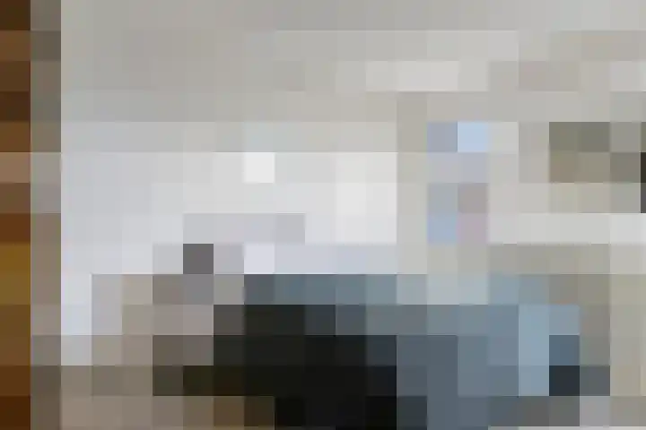 Seringelaar 7 Veghel thumbnail 31