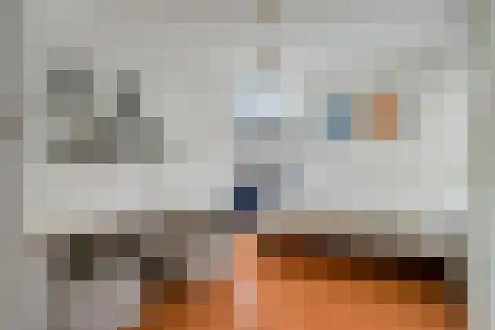 Seringelaar 7 Veghel thumbnail 37