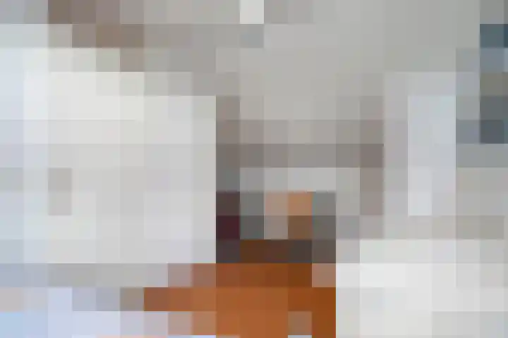 Seringelaar 7 Veghel thumbnail 38