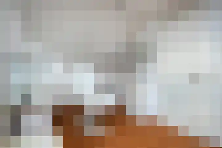 Seringelaar 7 Veghel thumbnail 39
