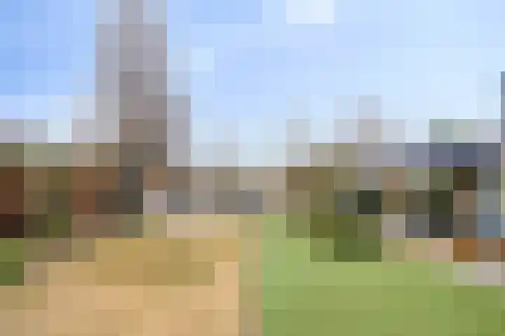 Seringelaar 7 Veghel thumbnail 42