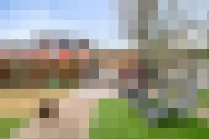 Seringelaar 7 Veghel thumbnail 46