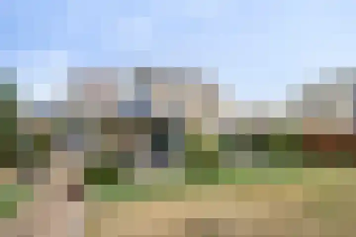 Seringelaar 7 Veghel thumbnail 47