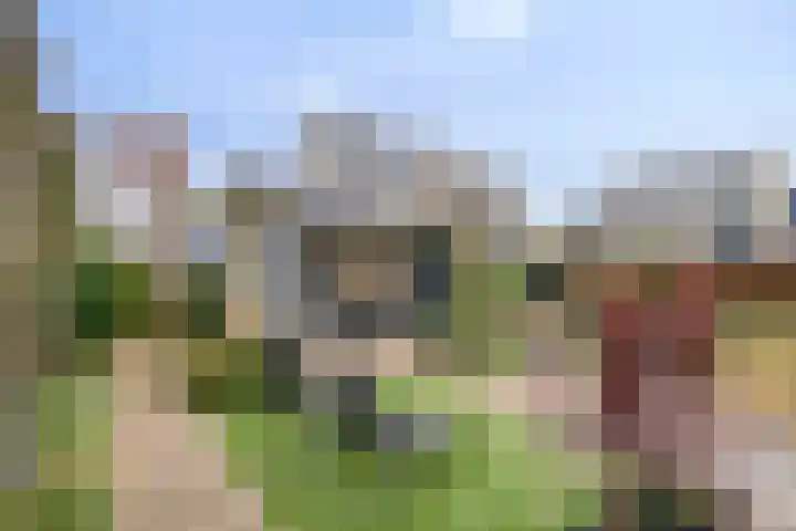 Seringelaar 7 Veghel thumbnail 48