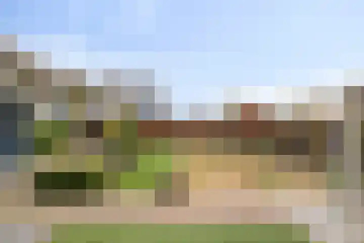Seringelaar 7 Veghel thumbnail 49