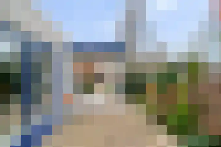 Seringelaar 7 Veghel thumbnail 50