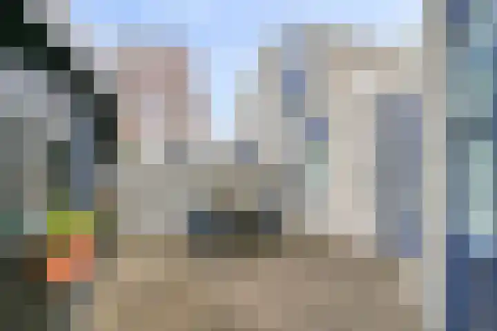 Seringelaar 7 Veghel thumbnail 51