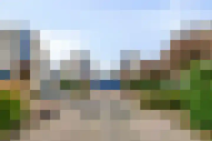 Seringelaar 7 Veghel thumbnail 56