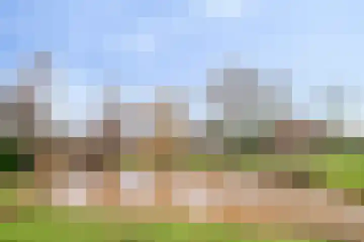 Seringelaar 7 Veghel thumbnail 58